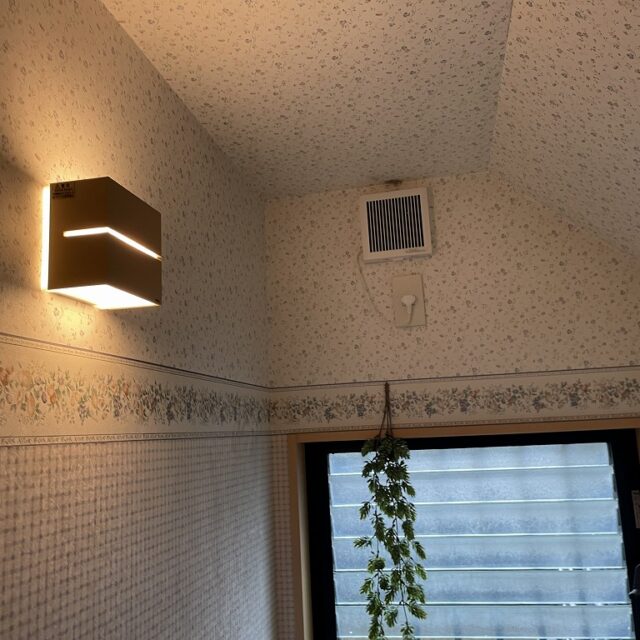 写真 2023 06 10 9 03 02