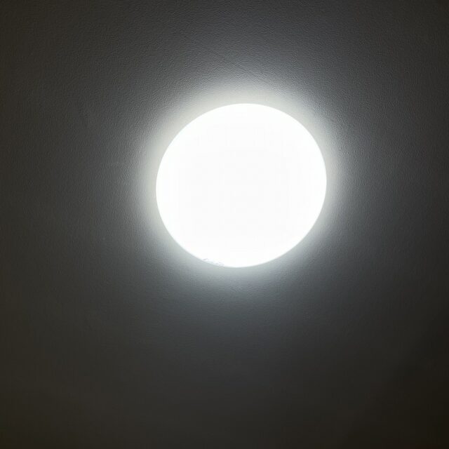 写真 2023 11 16 15 17 53 (1)